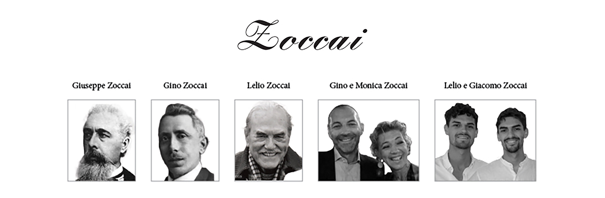Zoccai 5代