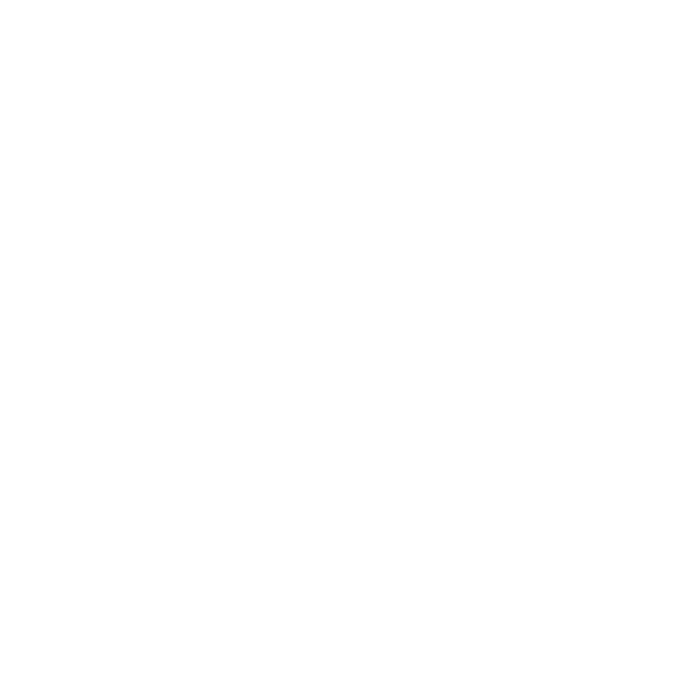 Zoccaiロゴ